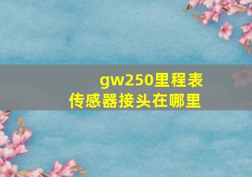 gw250里程表传感器接头在哪里