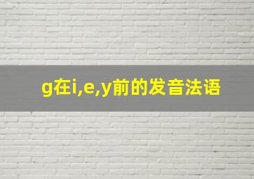 g在i,e,y前的发音法语