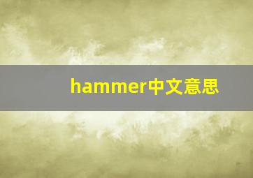 hammer中文意思