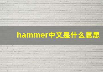 hammer中文是什么意思