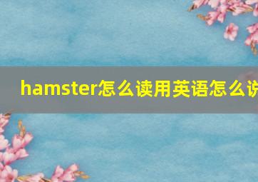 hamster怎么读用英语怎么说