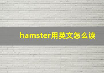 hamster用英文怎么读