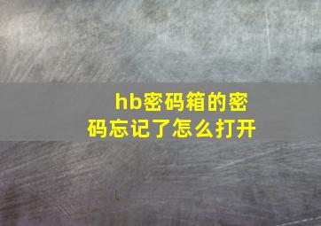 hb密码箱的密码忘记了怎么打开