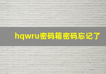 hqwru密码箱密码忘记了