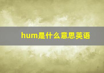 hum是什么意思英语