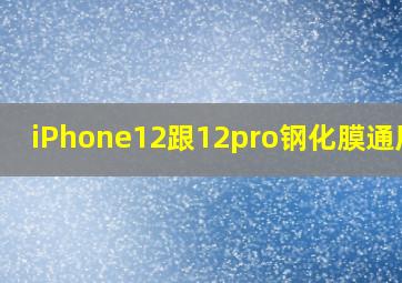 iPhone12跟12pro钢化膜通用吗