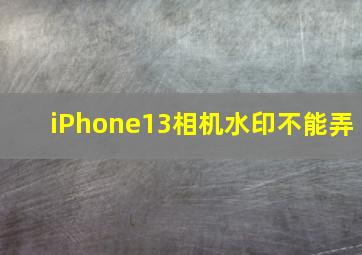 iPhone13相机水印不能弄