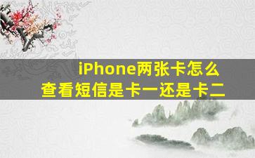 iPhone两张卡怎么查看短信是卡一还是卡二