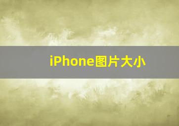 iPhone图片大小