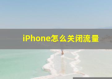 iPhone怎么关闭流量