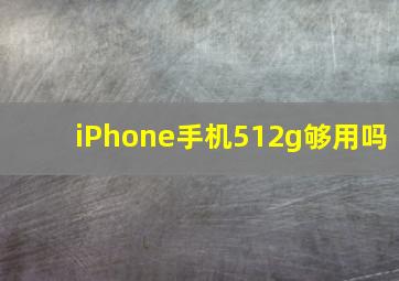 iPhone手机512g够用吗