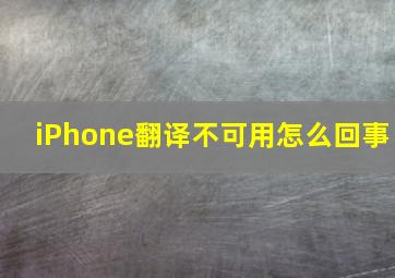 iPhone翻译不可用怎么回事