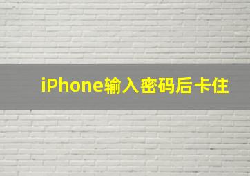 iPhone输入密码后卡住