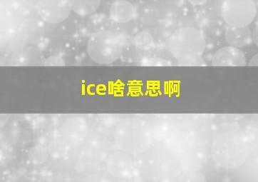 ice啥意思啊