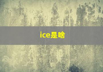 ice是啥