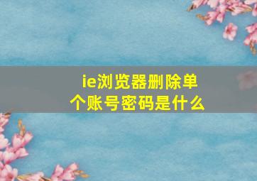 ie浏览器删除单个账号密码是什么