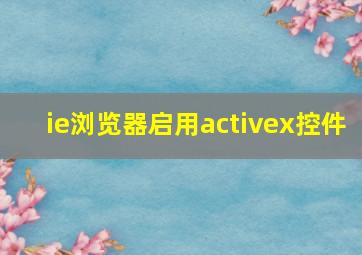 ie浏览器启用activex控件