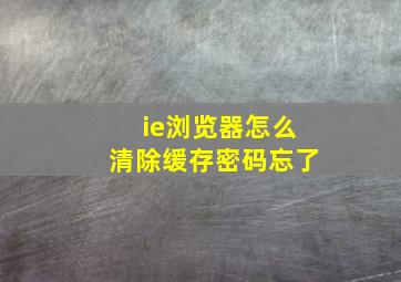 ie浏览器怎么清除缓存密码忘了