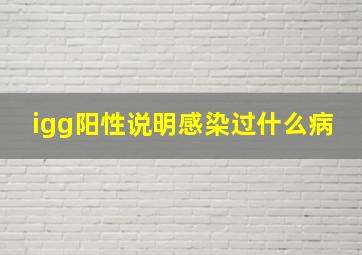 igg阳性说明感染过什么病