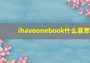 ihaveonebook什么意思