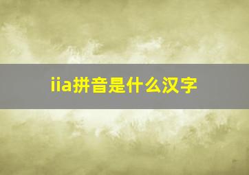 iia拼音是什么汉字