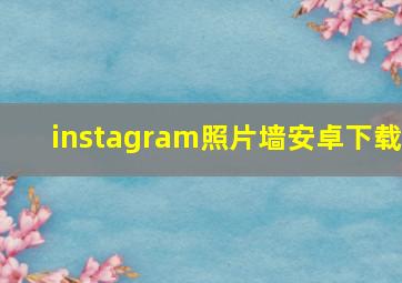 instagram照片墙安卓下载