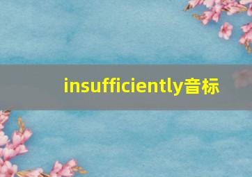 insufficiently音标