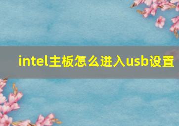 intel主板怎么进入usb设置