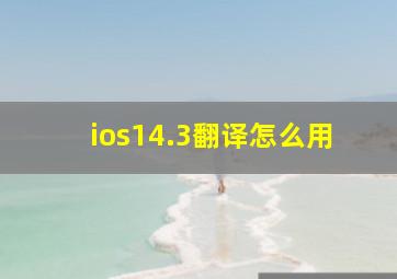 ios14.3翻译怎么用