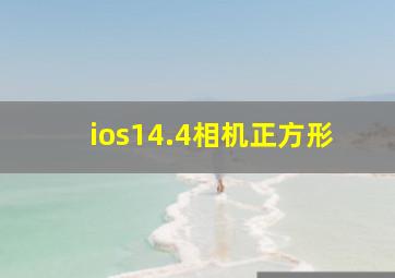 ios14.4相机正方形