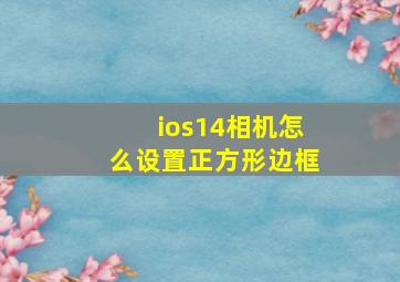 ios14相机怎么设置正方形边框