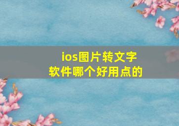 ios图片转文字软件哪个好用点的