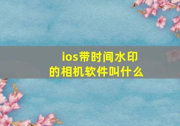 ios带时间水印的相机软件叫什么