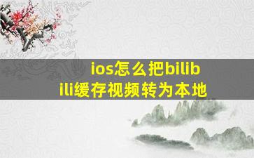 ios怎么把bilibili缓存视频转为本地