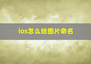 ios怎么给图片命名