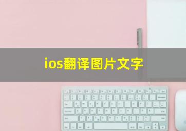 ios翻译图片文字