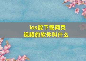 ios能下载网页视频的软件叫什么