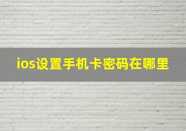 ios设置手机卡密码在哪里