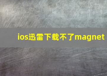 ios迅雷下载不了magnet