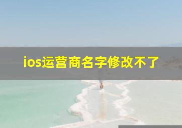 ios运营商名字修改不了