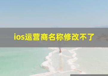 ios运营商名称修改不了