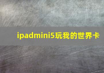 ipadmini5玩我的世界卡