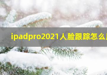 ipadpro2021人脸跟踪怎么用