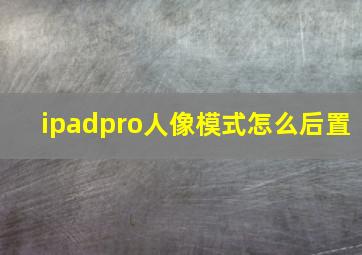 ipadpro人像模式怎么后置