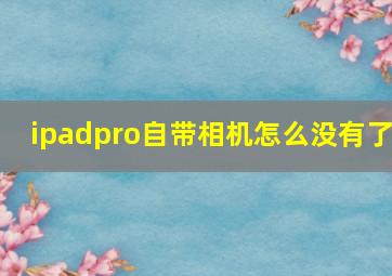 ipadpro自带相机怎么没有了