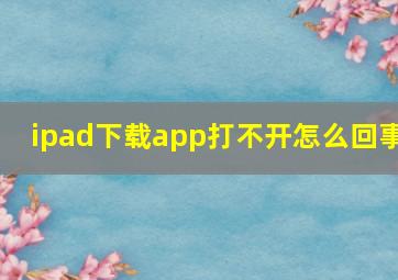 ipad下载app打不开怎么回事