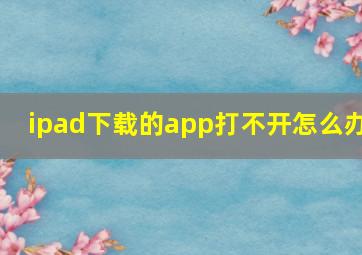 ipad下载的app打不开怎么办