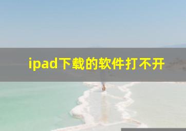 ipad下载的软件打不开