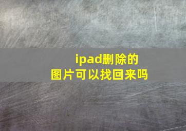 ipad删除的图片可以找回来吗