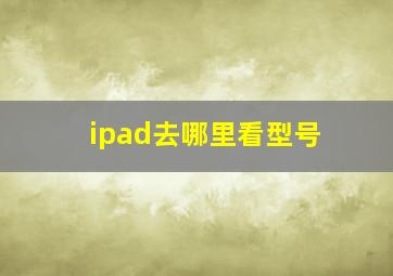 ipad去哪里看型号